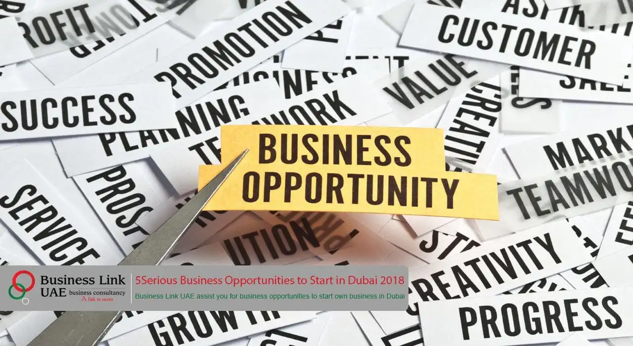 Business Opportunities to Start in Dubai