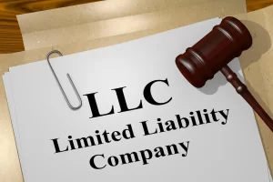 5 Benefits of Establishing a Limited Liability Company (LLC)