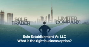 Sole Establishment Vs. LLC What is the right business option